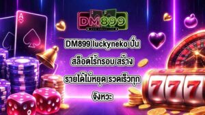 DM899 luckyneko